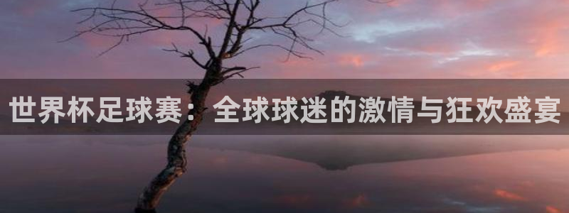 世界杯足球赛：全球球迷的激情与狂欢盛宴