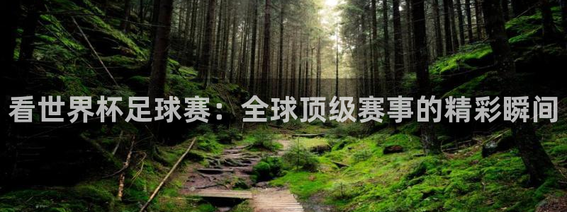  看世界杯足球赛：全球顶级赛事的精彩瞬间