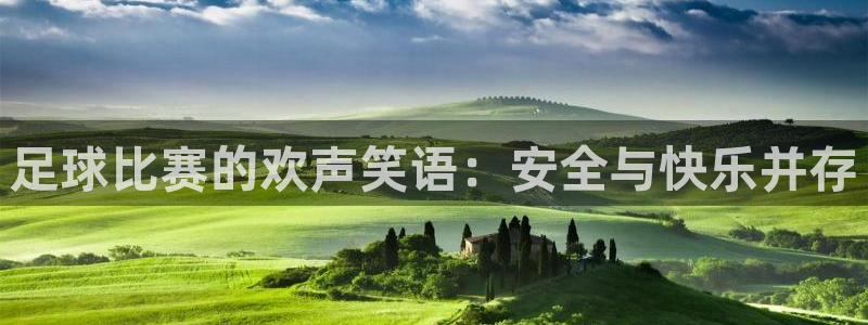  足球比赛的欢声笑语：安全与快乐并存