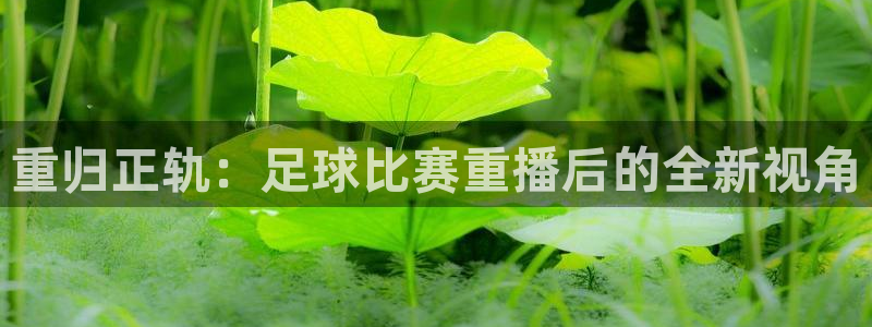  重归正轨：足球比赛重播后的全新视角