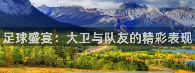 足球盛宴：大卫与队友的精彩表现