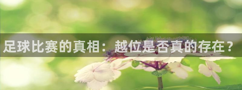 足球比赛的真相：越位是否真的存在？