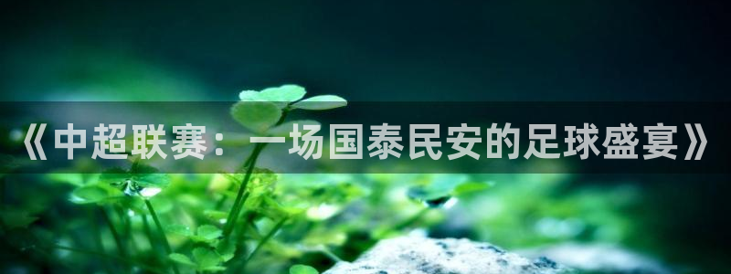 《中超联赛：一场国泰民安的足球盛宴》