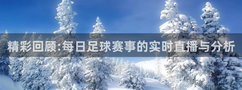 精彩回顾:每日足球赛事的实时直播与分